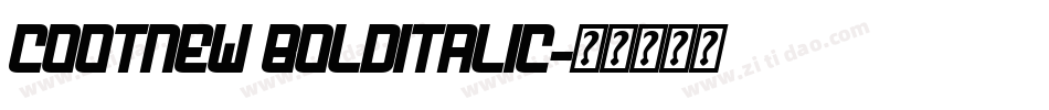 Cootnew BoldItalic字体转换